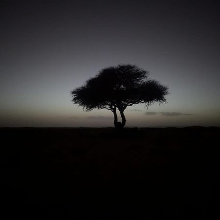 姆哈米德 Mhamid Sahara Camp - Mhamid El Ghizlane酒店 外观 照片