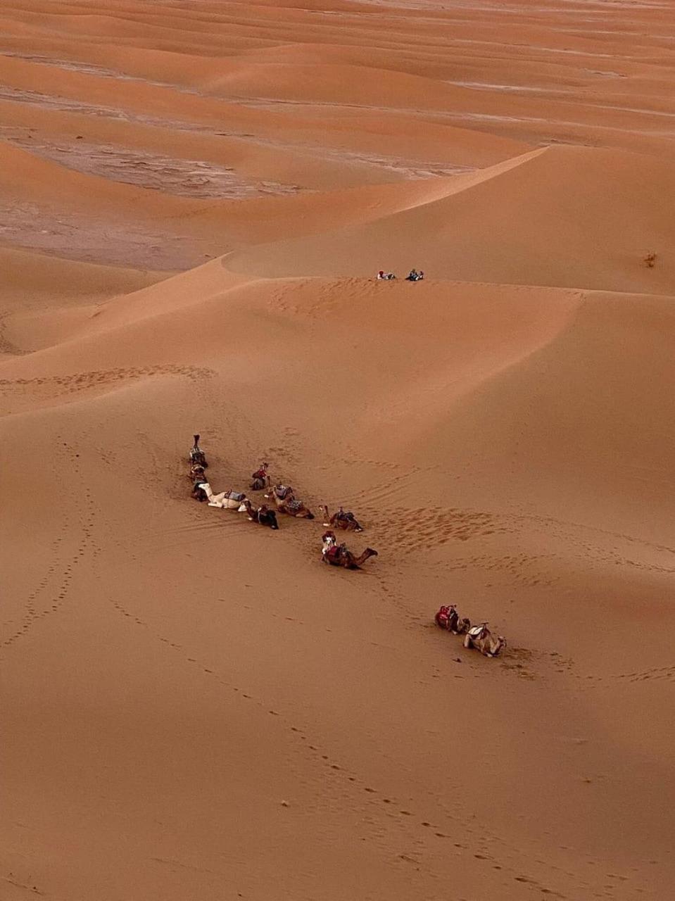 姆哈米德 Mhamid Sahara Camp - Mhamid El Ghizlane酒店 外观 照片
