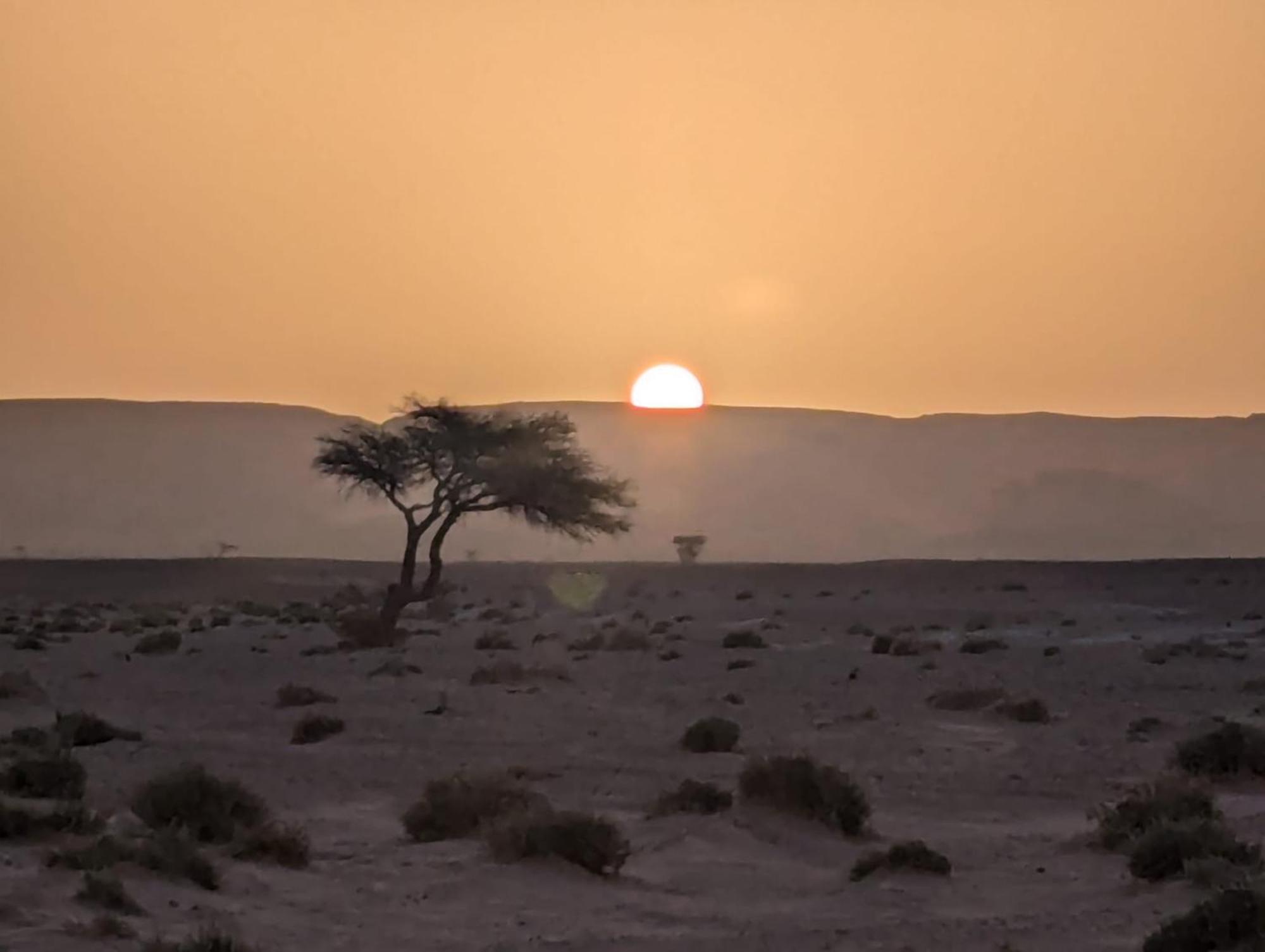 姆哈米德 Mhamid Sahara Camp - Mhamid El Ghizlane酒店 外观 照片