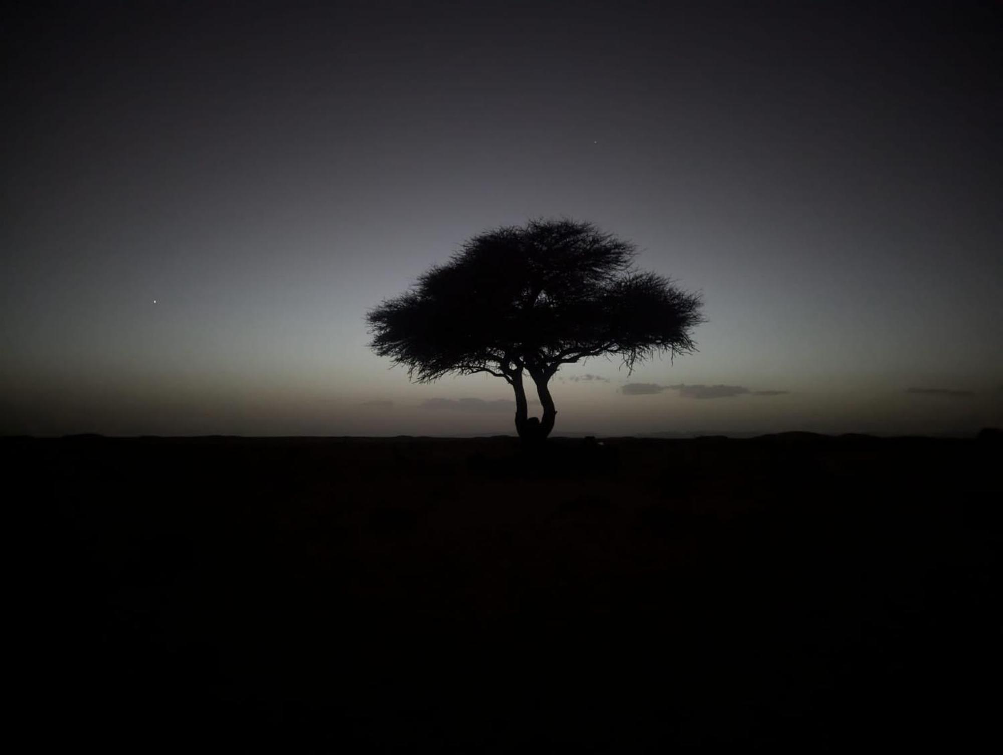 姆哈米德 Mhamid Sahara Camp - Mhamid El Ghizlane酒店 外观 照片
